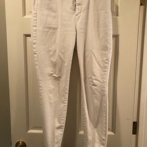 Talbots jeggings
